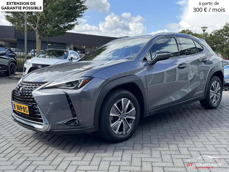 Lexus UX 300e Business 54 KWh
