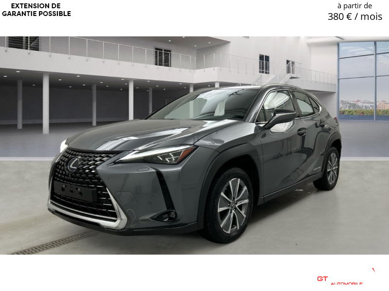 Lexus UX 300e Luxury Line